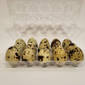 Kezdőlap fürj tojás